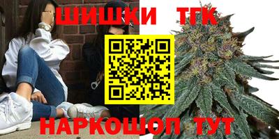 тгк Вышний Волочёк