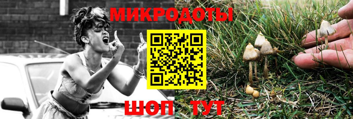 Галлюциногенные грибы MAGIC MUSHROOMS  Псилоцибиновые грибы Magic Shrooms  Вход с VPN  Новочебоксарск 